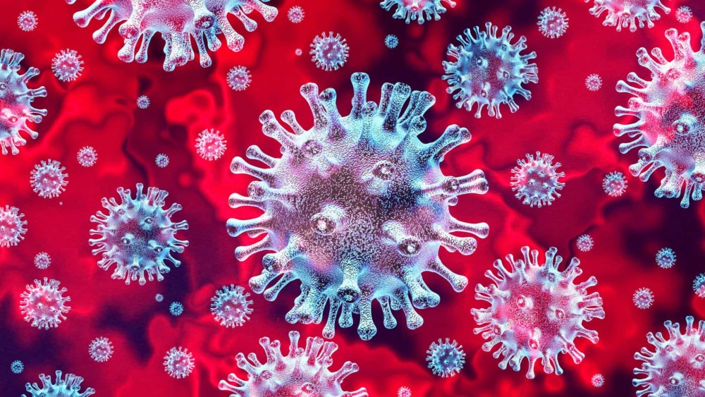Photo of OMS – Órgão afirma que epidemia do coronavírus está controlada no resto do mundo
